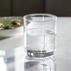 Waterglas Long Island Fish