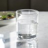 Waterglas Long Island Fish