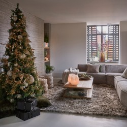 Castellane Hurricane L