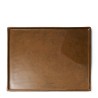 Ambre Tray L Forest Brown