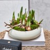 Clement Serving Bowl