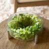 Marlow Decoration Bowl